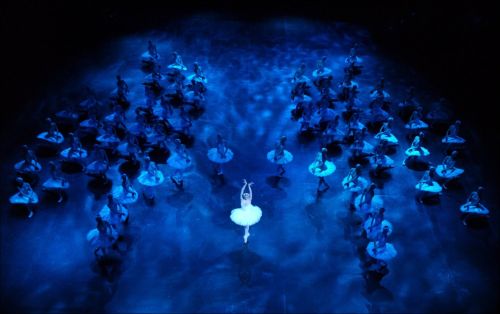 Swan Lake 'in-the-round' at the Royal Albert Hall (c) English National Ballet